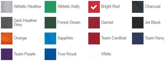 Port & Company® Fan Favorite™ Fleece Pullover Hooded Sweatshirt